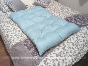 Adorable petit édredon vintage bleu ciel plumes et duvet