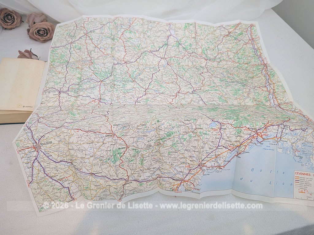 Voici un exemplaire du livre