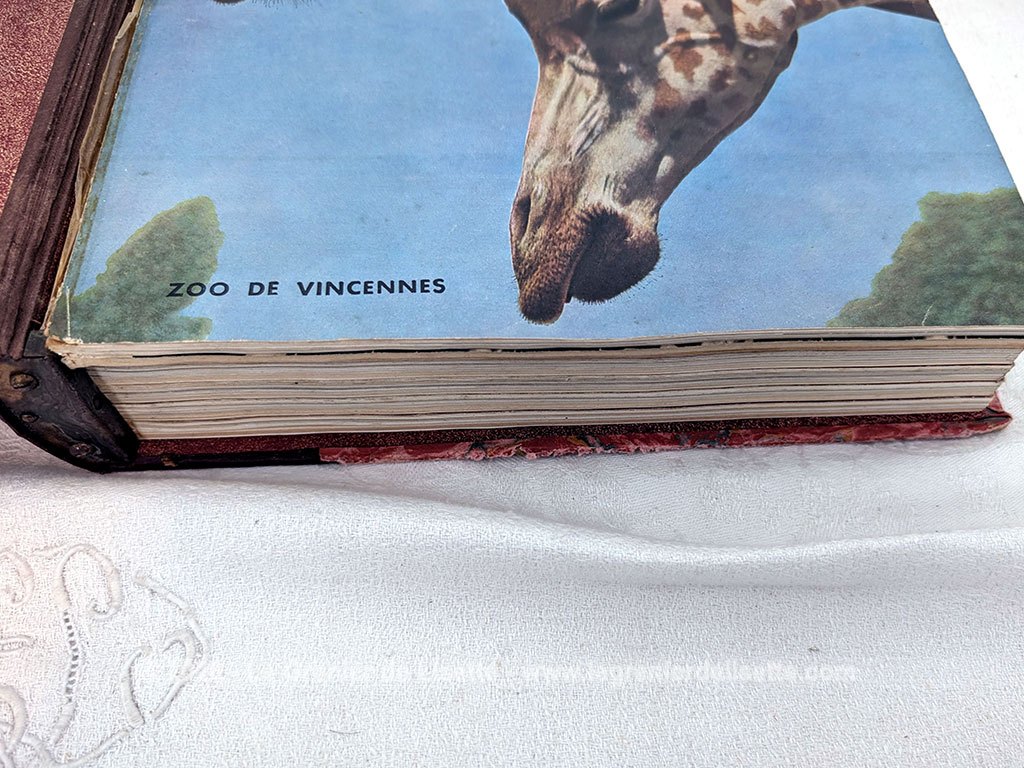Voici gros volume ancien regroupant les 6 premiers numéros de la célèbre revue