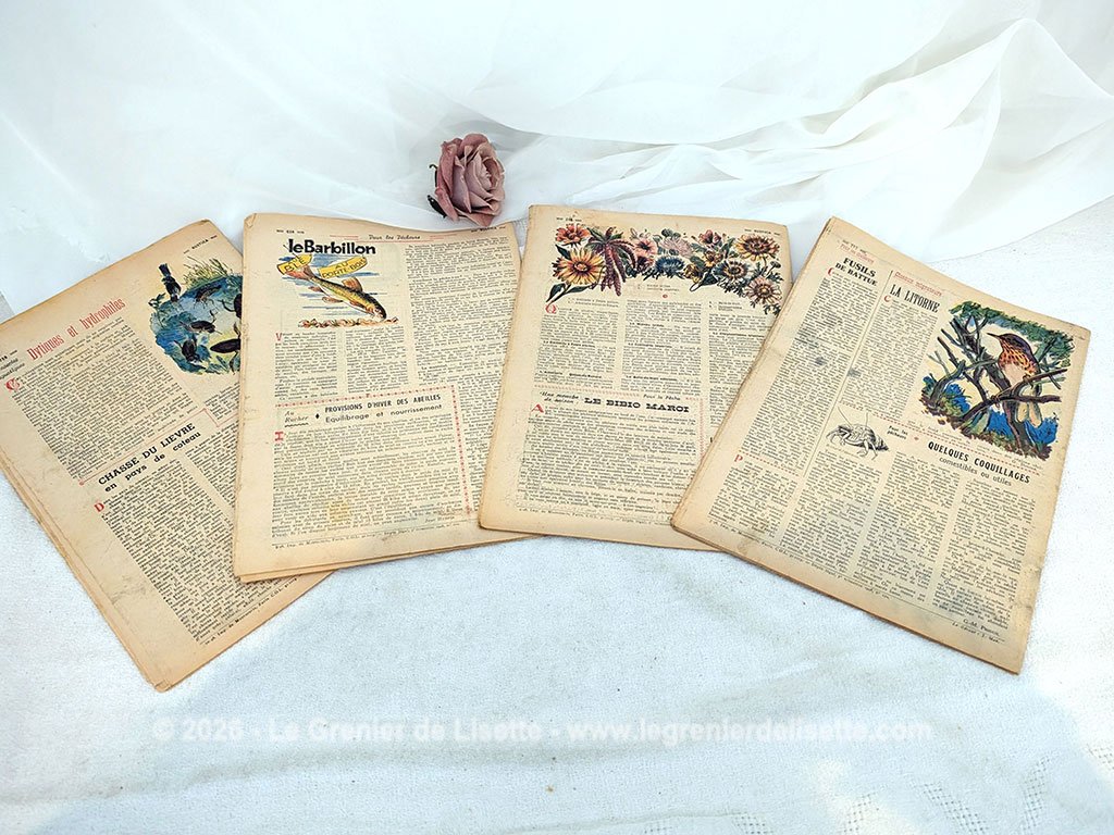 Voici un lot de 4 anciennes revues