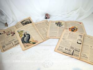 Lot 4 anciennes revue « Rustica » de 1948
