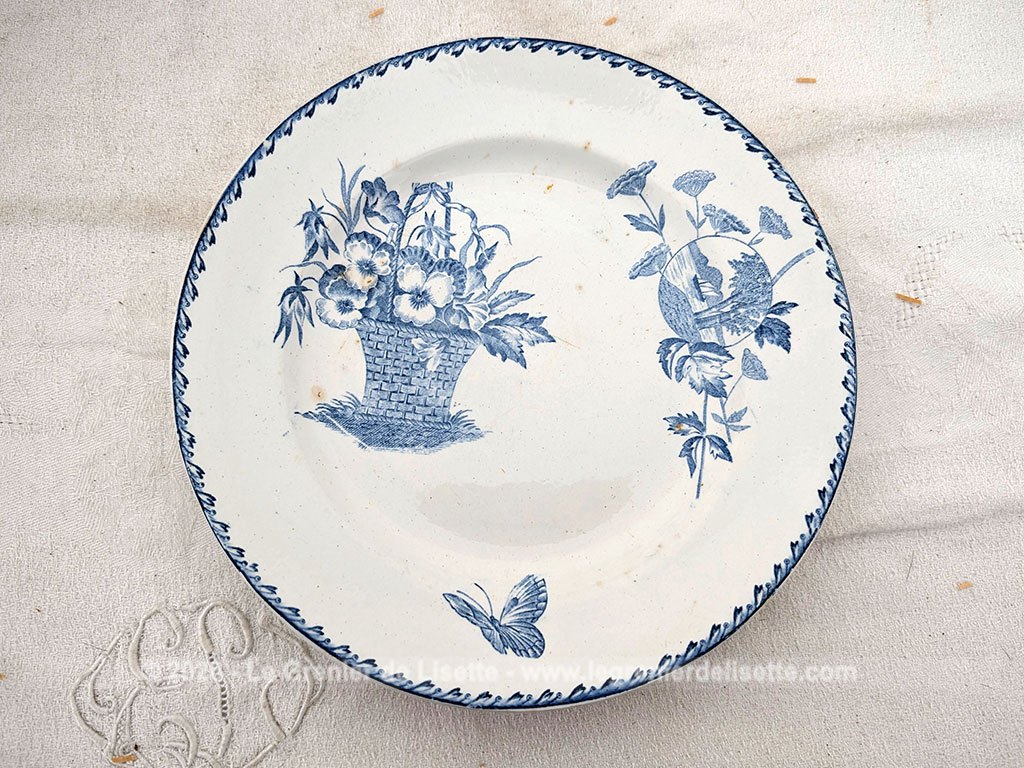 Voici un superbe lot de 7 assiettes anciennes en terre de fer de la manufacture de Saint Amand.
