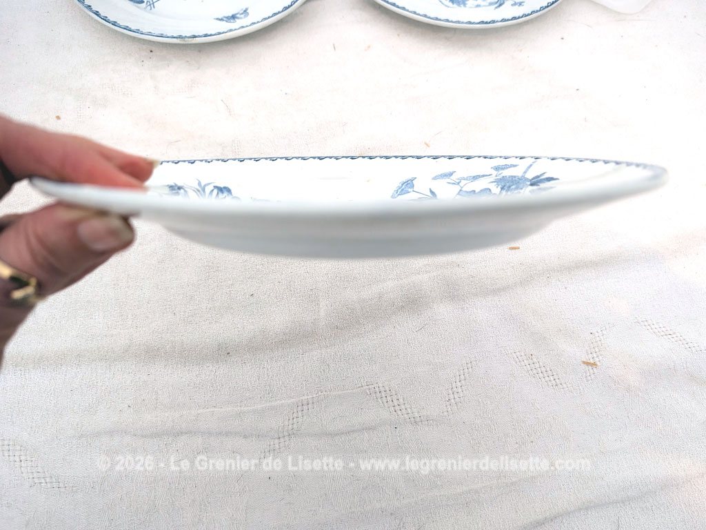 Voici un superbe lot de 7 assiettes anciennes en terre de fer de la manufacture de Saint Amand.