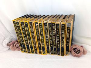 Voici un très beau lot vintage comprenant 13 romans policiers issus de collection Série Noire des éditions Gallimard? tous publiés dans les années 1950,